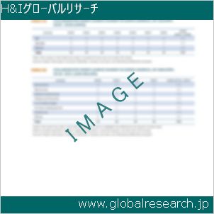 グローバルリサーチ調査レポートのイメージ